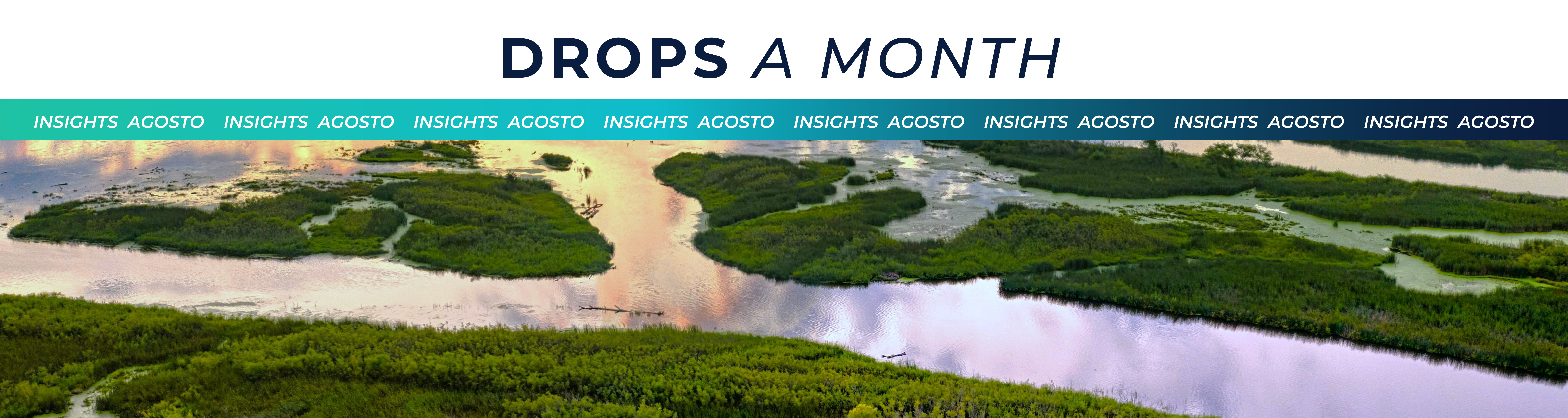 Drops a Month - Edición Agosto | Agrow Analytics